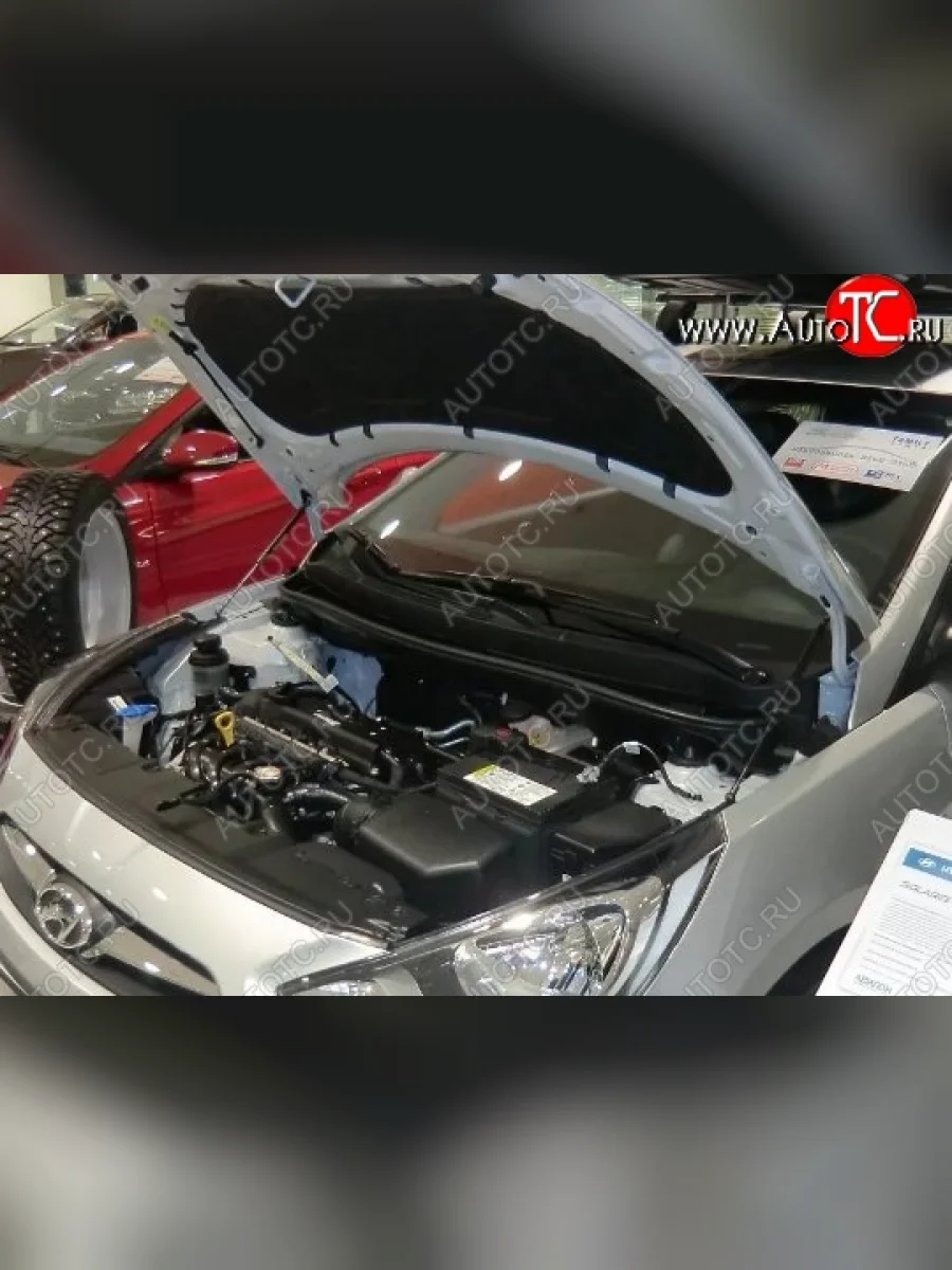 Газовые упоры капота Berkut Hyundai Solaris RBr седан дорестайлинг (2010-2014)  в Керчи Республика Крым