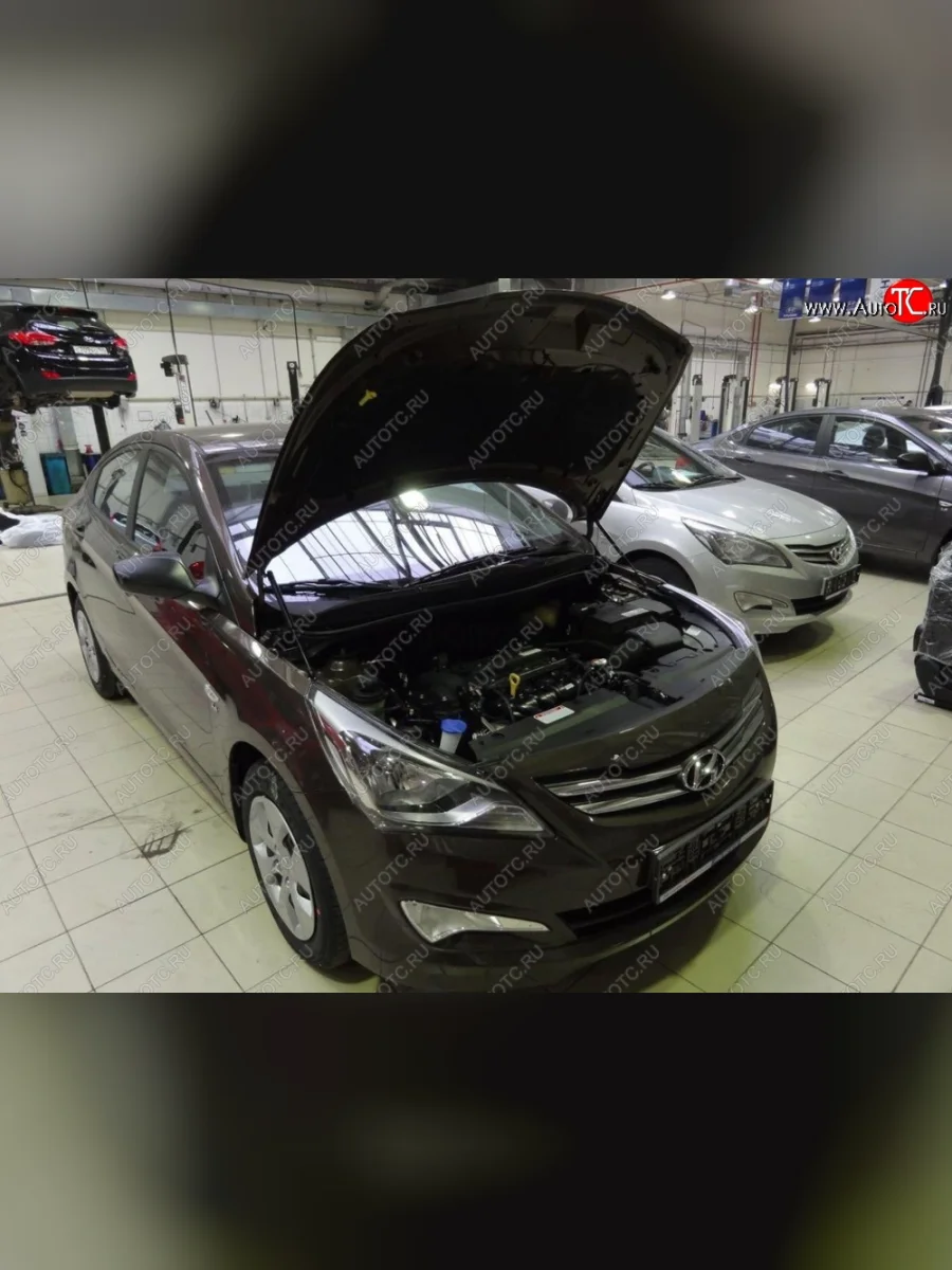 Газовые упоры капота Berkut Hyundai Solaris RBr седан рестайлинг (2014-2017)  в Керчи Республика Крым