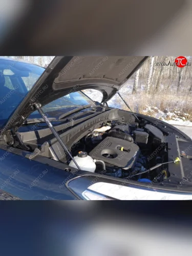 Газовые упоры капота Berkut Hyundai Tucson TL дорестайлинг (2015-2018)