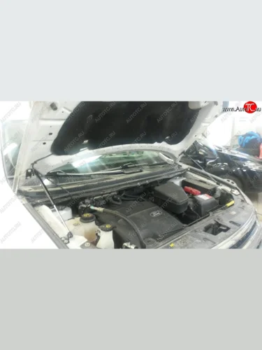 Газовые упоры капота (рестайлинг) Berkut Ford Edge U387 дорестайлинг (2006-2010)