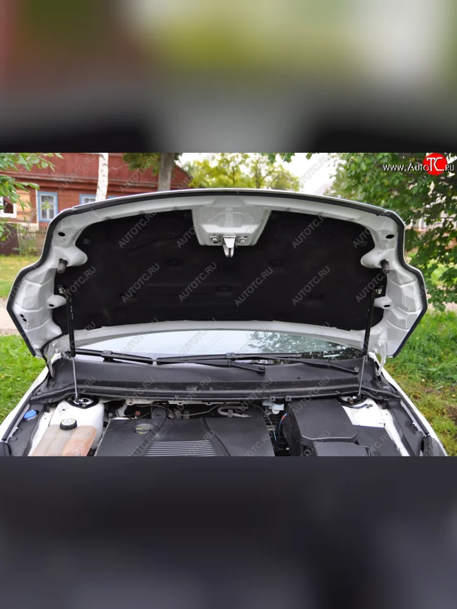 Газовые упоры капота Berkut Ford Focus 2 седан рестайлинг (2007-2011)  с доставкой в г. Керчь