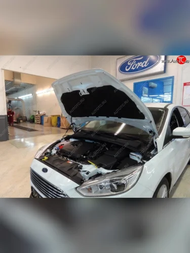 Газовые упоры капота Berkut Ford Focus 3 универсал дорестайлинг (2010-2015)
