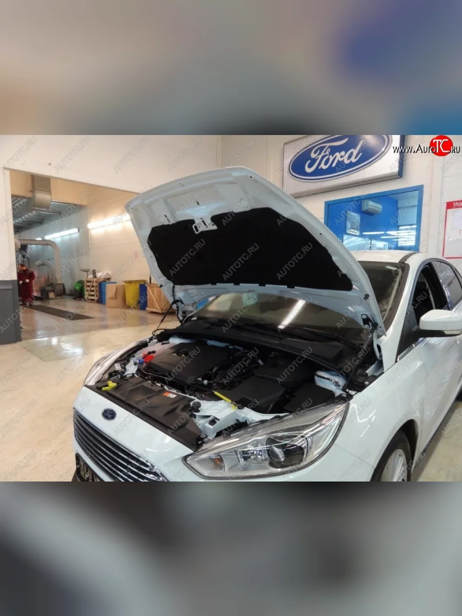 Газовые упоры капота Berkut Ford Focus 3 универсал дорестайлинг (2010-2015)  с доставкой в г. Керчь