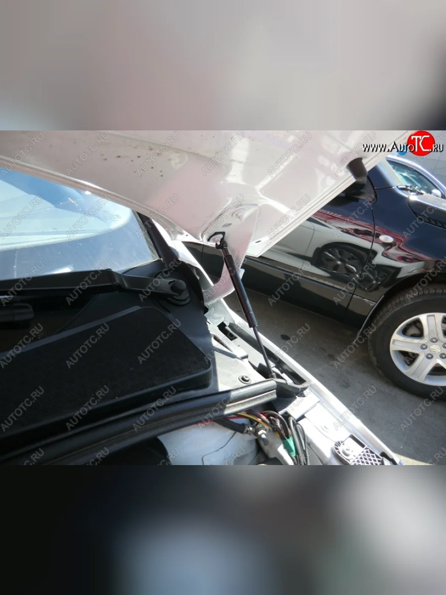 Газовые упоры капота Berkut Ford Focus 3 седан рестайлинг (2014-2019)  в Керчи Республика Крым