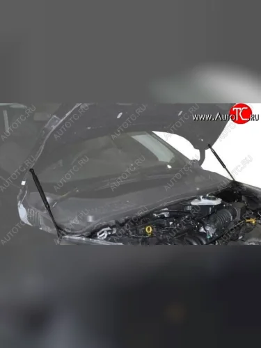 Газовые упоры капота Berkut Ford Kuga 2 рестайлинг (2016-2019)