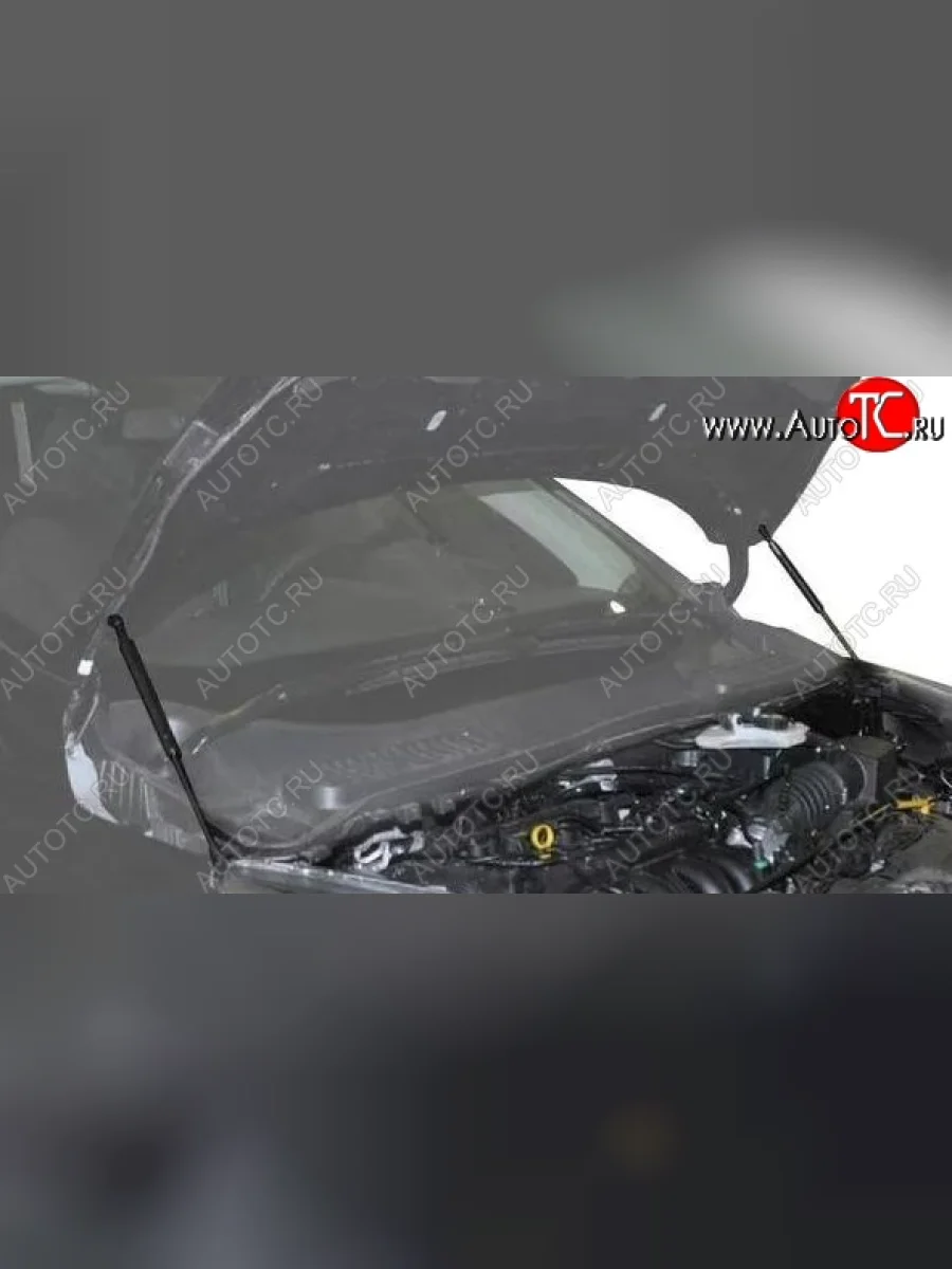 Газовые упоры капота Berkut Ford Kuga 2 рестайлинг (2016-2019)  в Самаре Самарской области