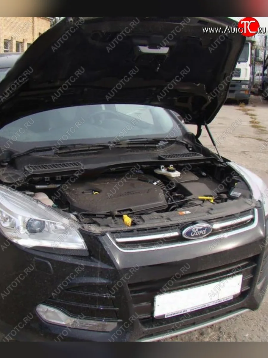 Газовые упоры капота Berkut Ford Kuga 2 дорестайлинг (2013-2016)  в Самаре Самарской области