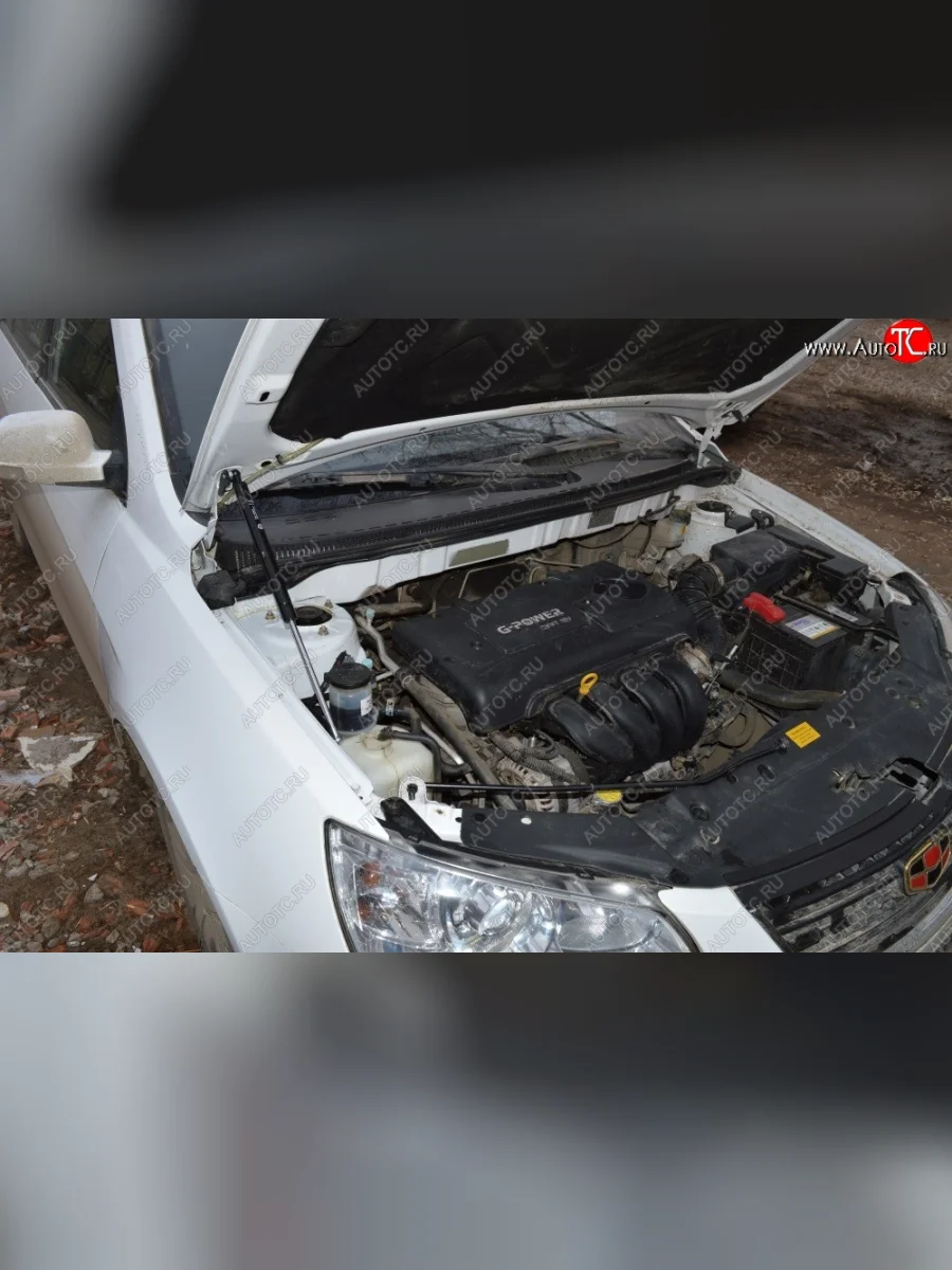 Газовые упоры капота Berkut Geely Emgrand EC7 седан дорестайлинг (2009-2016)  в Керчи Республика Крым