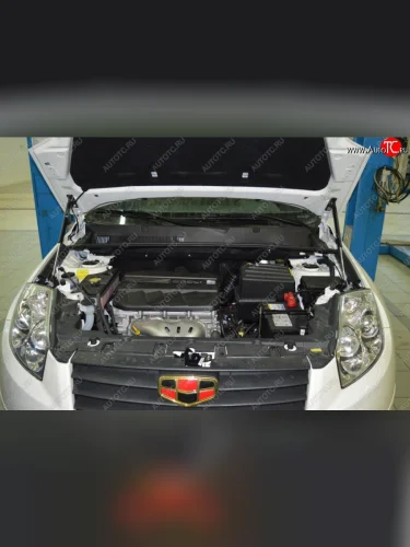 Газовые упоры капота Berkut Geely Emgrand X7 дорестайлинг (2011-2015)