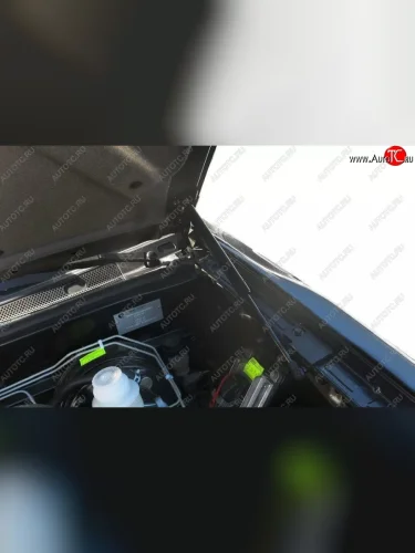 Газовые упоры капота Berkut Berkut Great Wall Hover H3  рестайлинг (2014-2016)