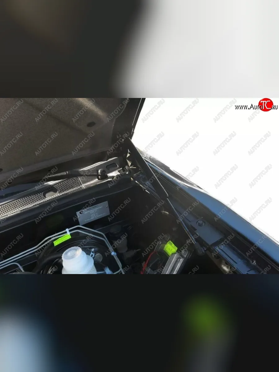 Газовые упоры капота Berkut Berkut Great Wall Hover H3  рестайлинг (2014-2016)  в Перми Пермском крае