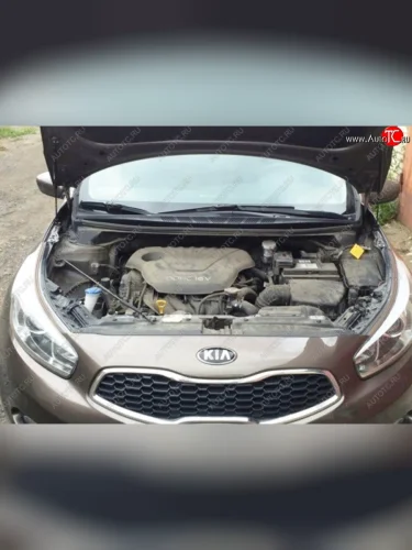 Газовые упоры капота Berkut KIA Ceed 1 ED рестайлинг, хэтчбэк 5 дв. (2010-2012)