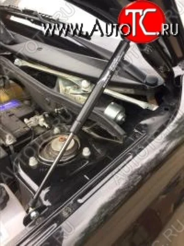 Газовый упор капота Berkut Лада ВАЗ Гранта 2190 седан  дорестайлинг (2011-2017)