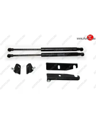 Газовые упоры капота Berkut Лада ВАЗ Калина Спорт 1119 (2008-2014)