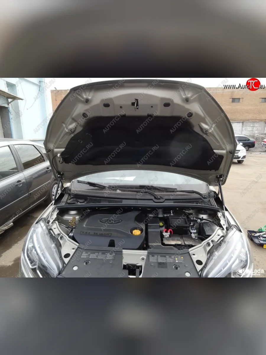 Газовые упоры капота Berkut Лада ВАЗ XRAY (2016-2022)  с доставкой в г. Керчь