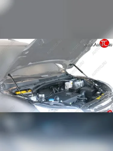 Газовые упоры капота Berkut Lifan X60 2-ой рестайлинг (2016-2025)