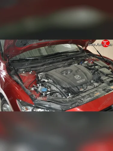 Газовые упоры капота Berkut Mazda 6 GJ дорестайлинг седан (2012-2015)