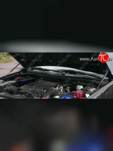 Газовые упоры капота Berkut Mitsubishi L200 5 KK,KL дорестайлинг (2015-2019)