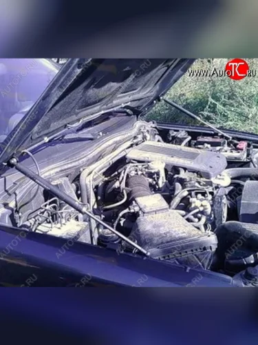 Газовые упоры капота Berkut Mitsubishi Pajero 3 V70 дорестайлинг (1999-2003)