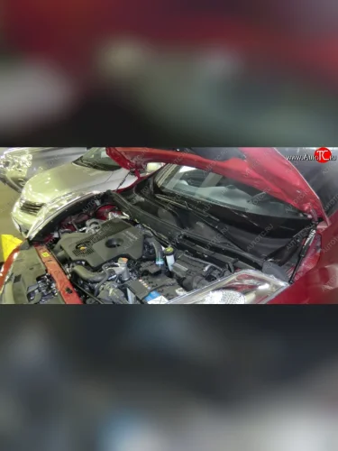 Газовый упор капота Berkut Nissan Juke 1 YF15 рестайлинг (2014-2020)