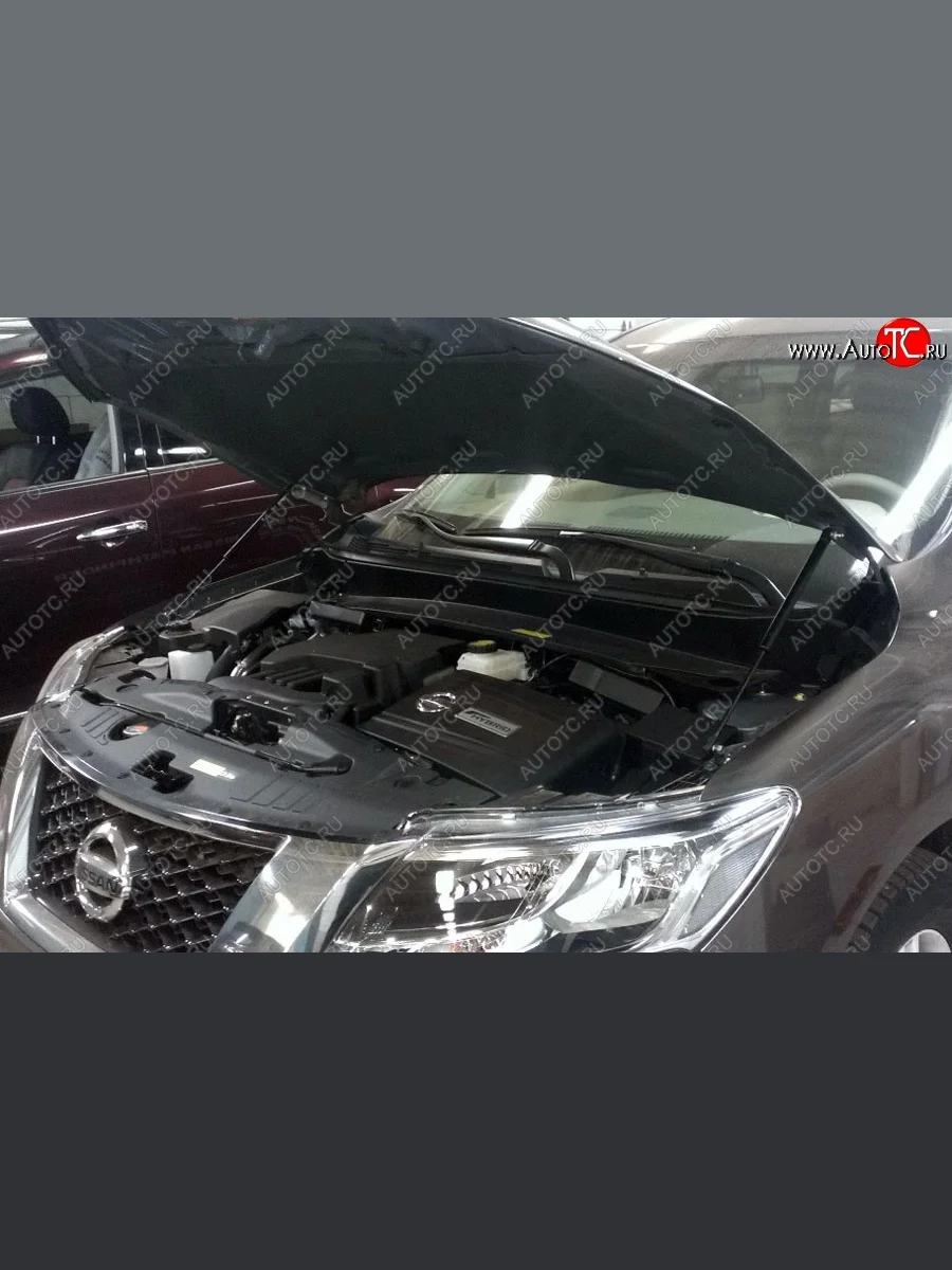 Газовые упоры капота Berkut Nissan Pathfinder R52 дорестайлинг (2012-2017)  в Воронеже Воронежской области