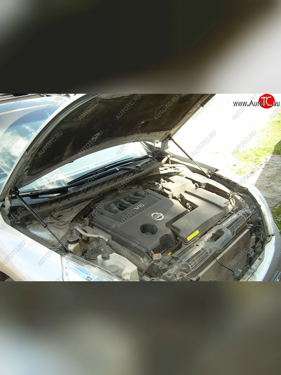 Газовые упоры капота Berkut Nissan Teana 2 J32 дорестайлинг (2008-2011)  в Самаре Самарской области