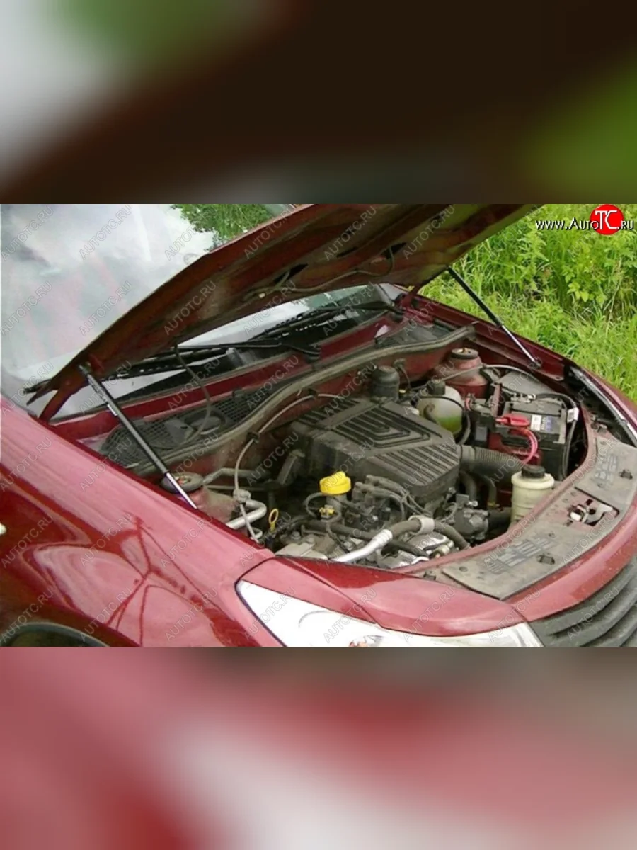 Газовые упоры капота Berkut Renault Sandero Stepway 1 (2010-2014)  в Перми Пермском крае