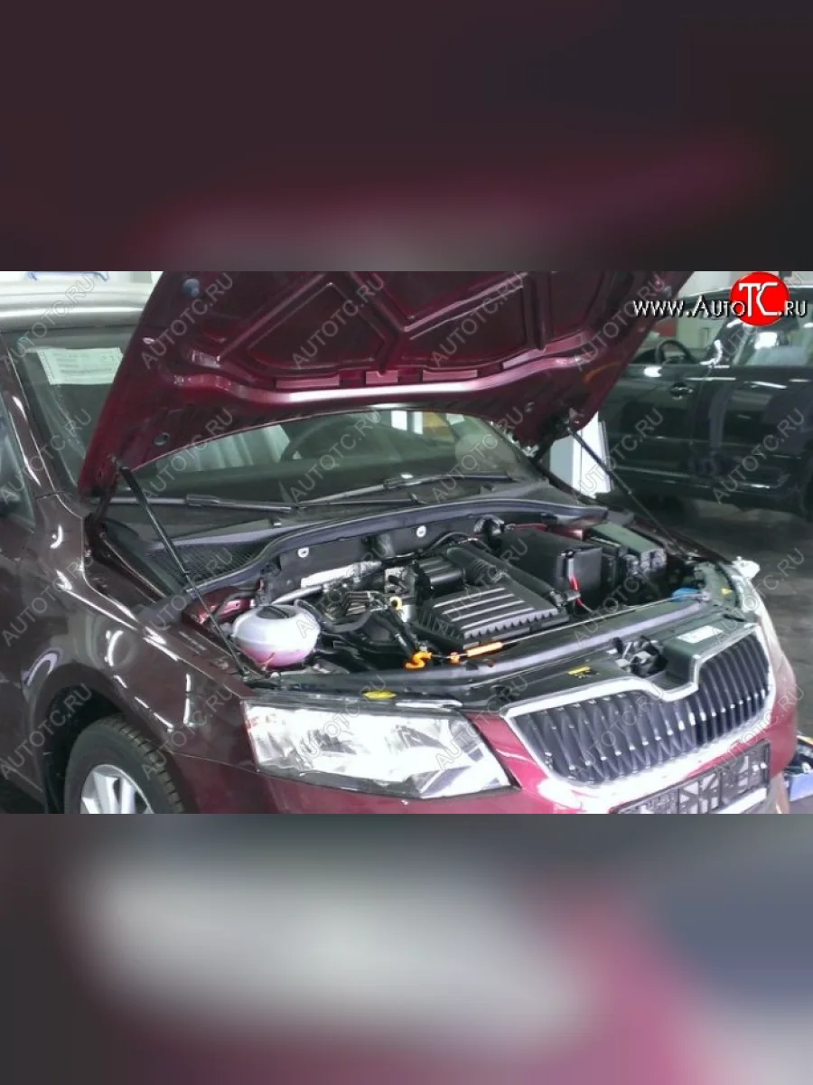 Газовые упоры капота Berkut Skoda Octavia A7 дорестайлинг лифтбэк (2012-2017)  с доставкой в г. Керчь