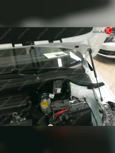 Газовые упоры капота Berkut Skoda Rapid NH3 дорестайлинг лифтбэк (2012-2017)