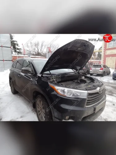 Газовые упоры капота Berkut Toyota Highlander XU50 дорестайлинг (2013-2017)