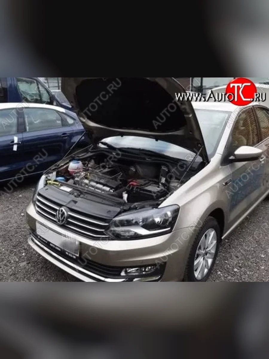 Газовые упоры капота Berkut Volkswagen Polo Mk5 6R,6C,61 хэтчбек 5 дв. дорестайлинг (2009-2015)  в Самаре Самарской области