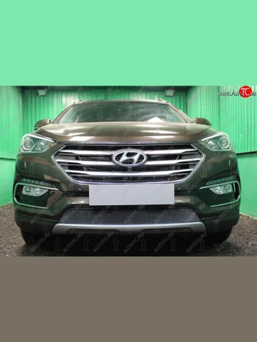 Защитная сетка на бампер Russtal (черная) Hyundai Santa Fe DM рестайлинг (2015-2019)
