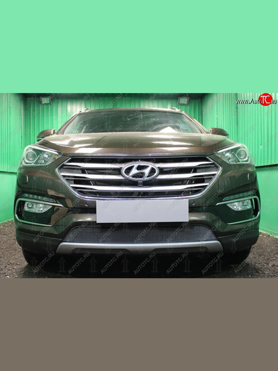 Защитная сетка на бампер Russtal Hyundai Santa Fe DM рестайлинг (2015-2019) (черная)  в Самаре Самарской области