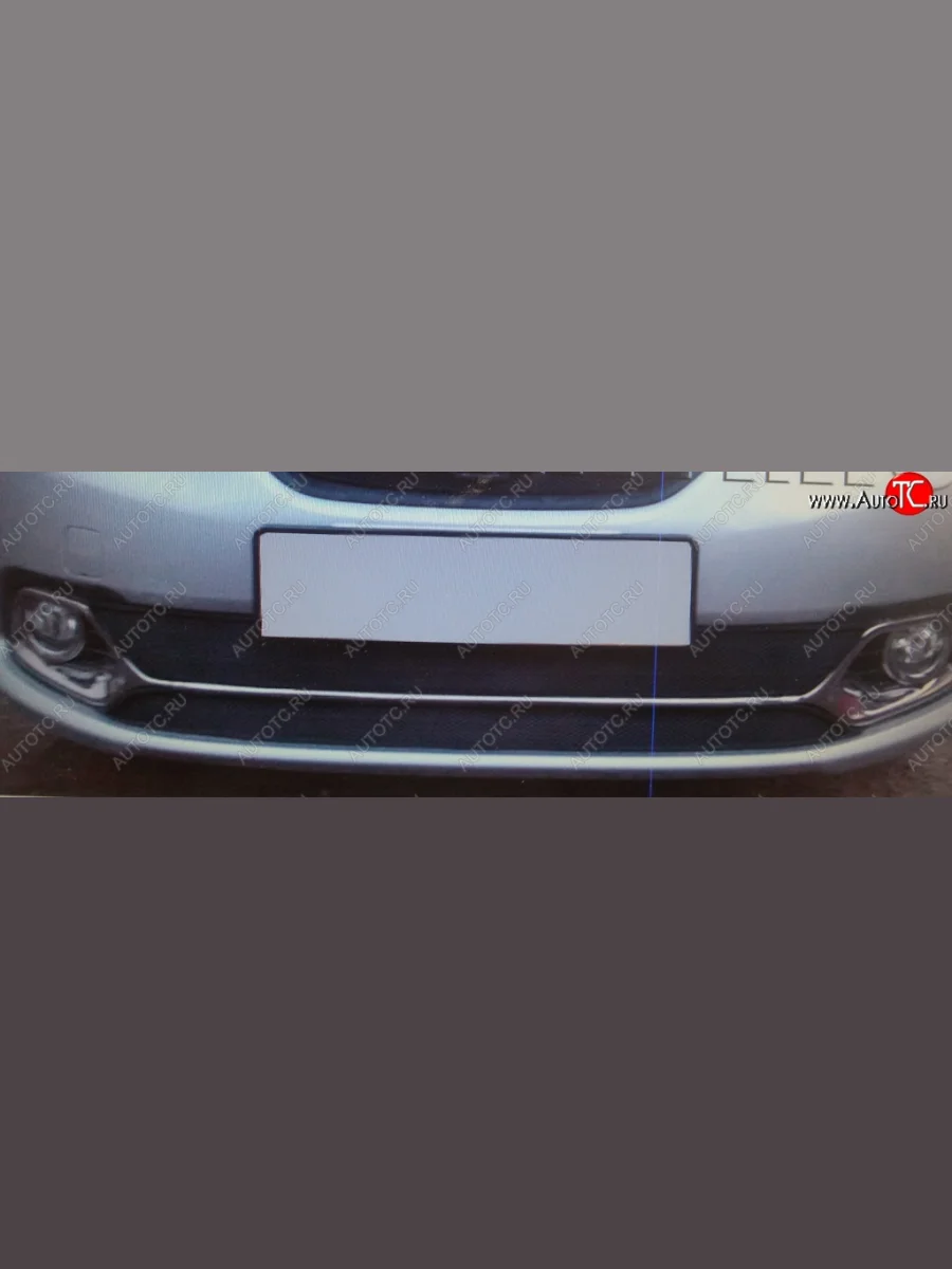 Нижняя защитная сетка на бампер (Privilege, Luxe) Russtal (черная) Renault Logan 2 дорестайлинг (2014-2018)  с доставкой в г. Керчь