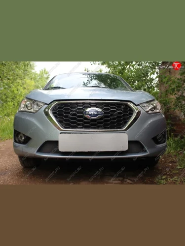 Защитная сетка на бампер Russtal (черная) Datsun mi-DO хэтчбэк (2014-2021)
