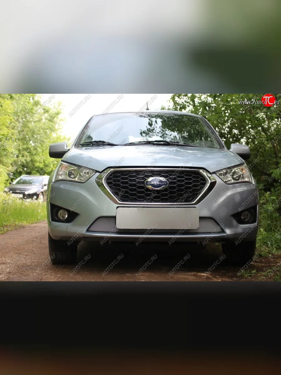 Защитная сетка на бампер Russtal (хром) Datsun mi-DO хэтчбэк (2014-2021)  с доставкой в г. Пермь