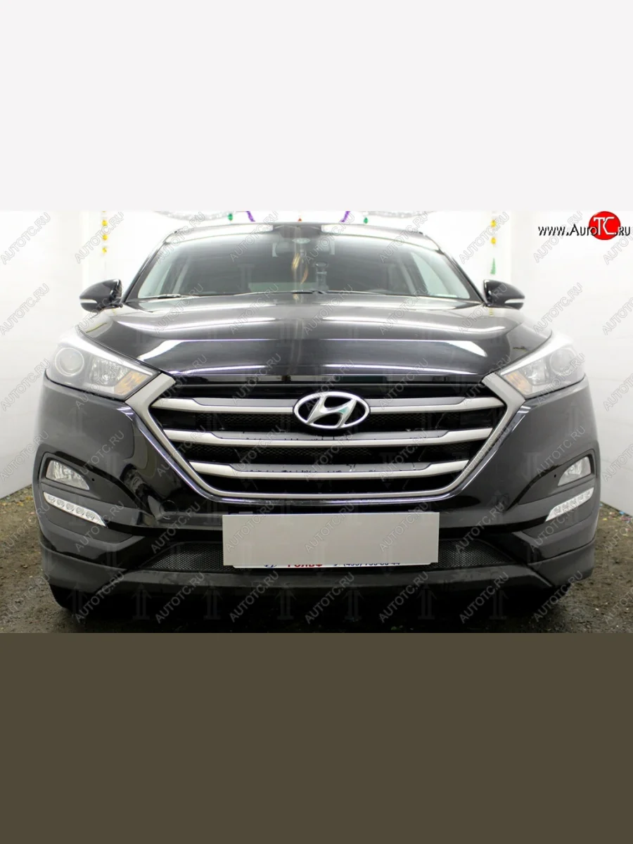 Защитная сетка на бампер Russtal (черная) Hyundai Tucson TL дорестайлинг (2015-2018)  в Керчи Республика Крым