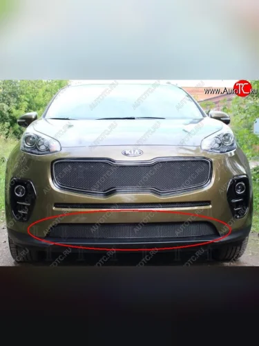 Нижняя защитная сетка на бампер Russtal (черная) KIA Sportage  4 QL (2016-2018) дорестайлинг