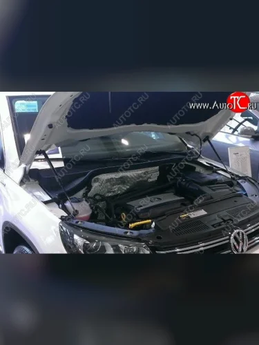 Газовый упор капота Berkut Volkswagen Tiguan NF дорестайлинг (2006-2011)
