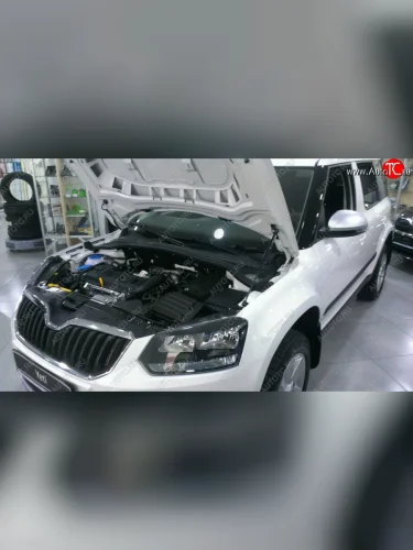 Газовый упор капота Berkut Skoda Yeti (2009-2013)