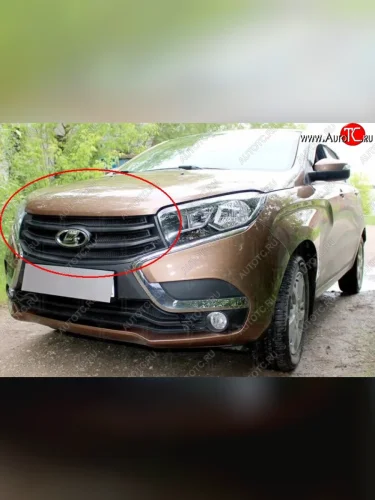 Сетка в решетку радиатора Russtal (черная) Лада ВАЗ XRAY (2016-2022)