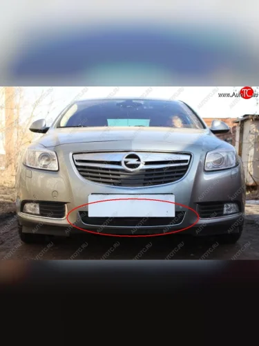 Защитная решётка в воздуховод автомобиля (дорестайлинг) Russtal (черная) Opel Insignia A дорестайлинг седан (2008-2013)
