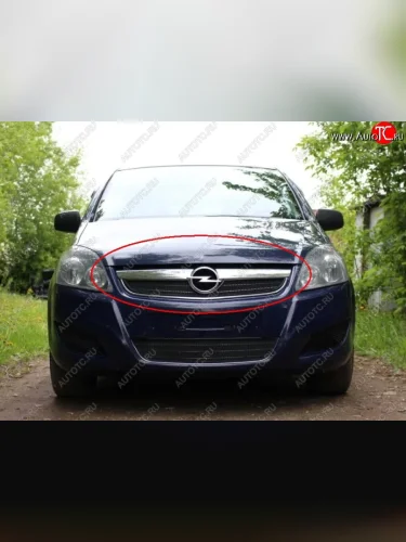 Сетка в решетку радиатора Russtal (черная) Opel Zafira В рестайлинг (2007-2015)