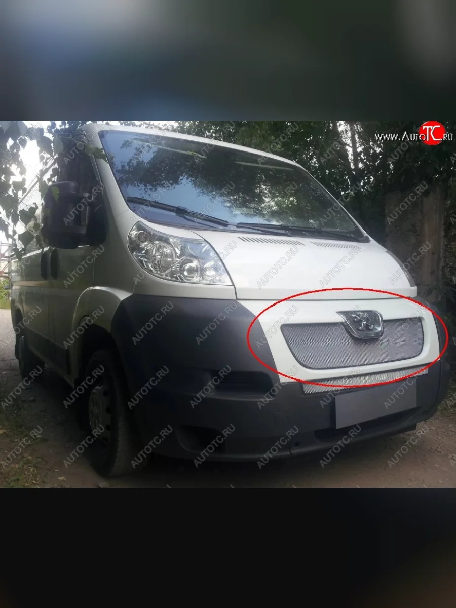 Сетка в решетку радиатора Russtal Peugeot Boxer 250 (2006-2014) (хром)  в Воронеже Воронежской области