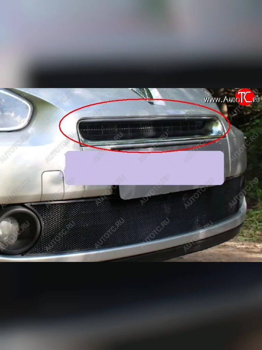 Сетка в решетку радиатора Russtal Renault Fluence дорестайлинг (2010-2012) (черная)  с доставкой в г. Керчь