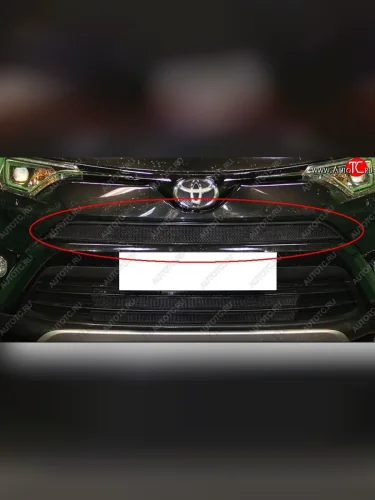Сетка в решетку радиатора Russtal (черная) Toyota RAV4 XA40 5 дв. рестайлинг (2015-2019)