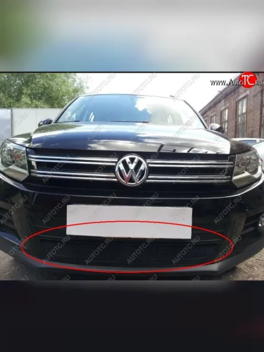 Защитная решётка в воздуховод автомобиля Russtal (черная) Volkswagen Tiguan Mk2 дорестайлинг (2016-2020)