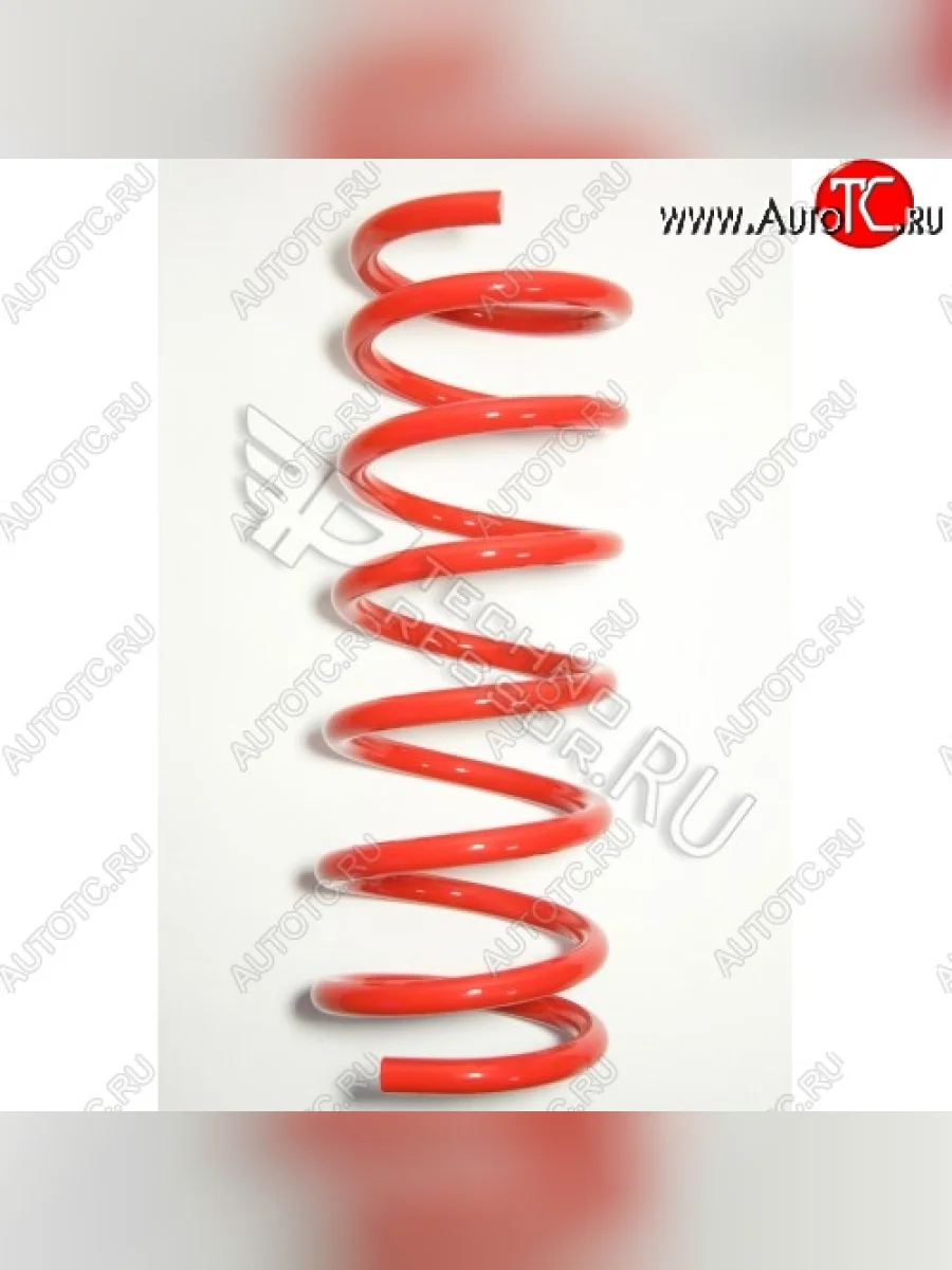 Комплект заниженных задних пружин -30 ммТехно Рессор (Технорессор) Ford Focus 3 хэтчбэк дорестайлинг (2010-2015)  с доставкой в г. Керчь