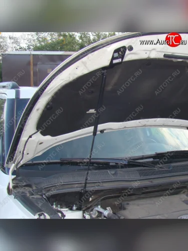 Газовый упор капота Tuning-Sport Ford Explorer  U502 (2010-2016) дорестайлинг