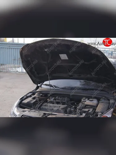 Газовый упор капота Tuning-Sport Chevrolet Cruze ( J300,  J305) (2009-2015) седан дорестайлинг, хэтчбек дорестайлинг, седан рестайлинг, хэтчбек рестайлинг